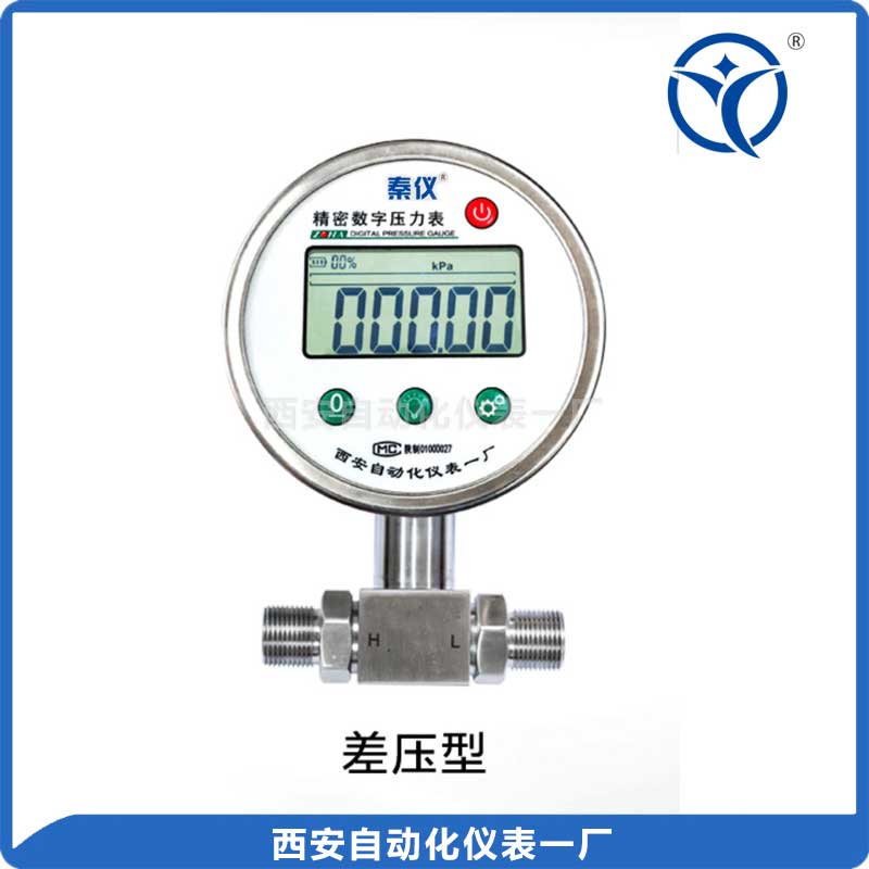 DP-100數(shù)字壓力表